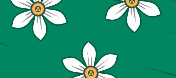 [:rs]ХЕРАЛДИЧКЕ ЗАСТАВЕ[:en]HERALDIC FLAGS[:]